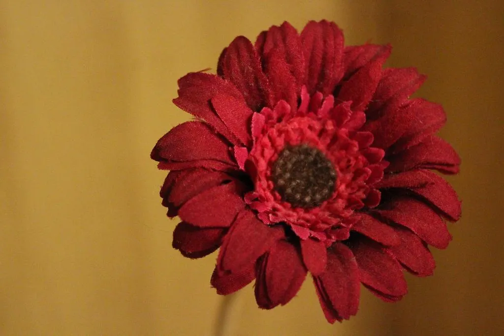 Xenia Alojamento Local Bed and Breakfast Coimbra